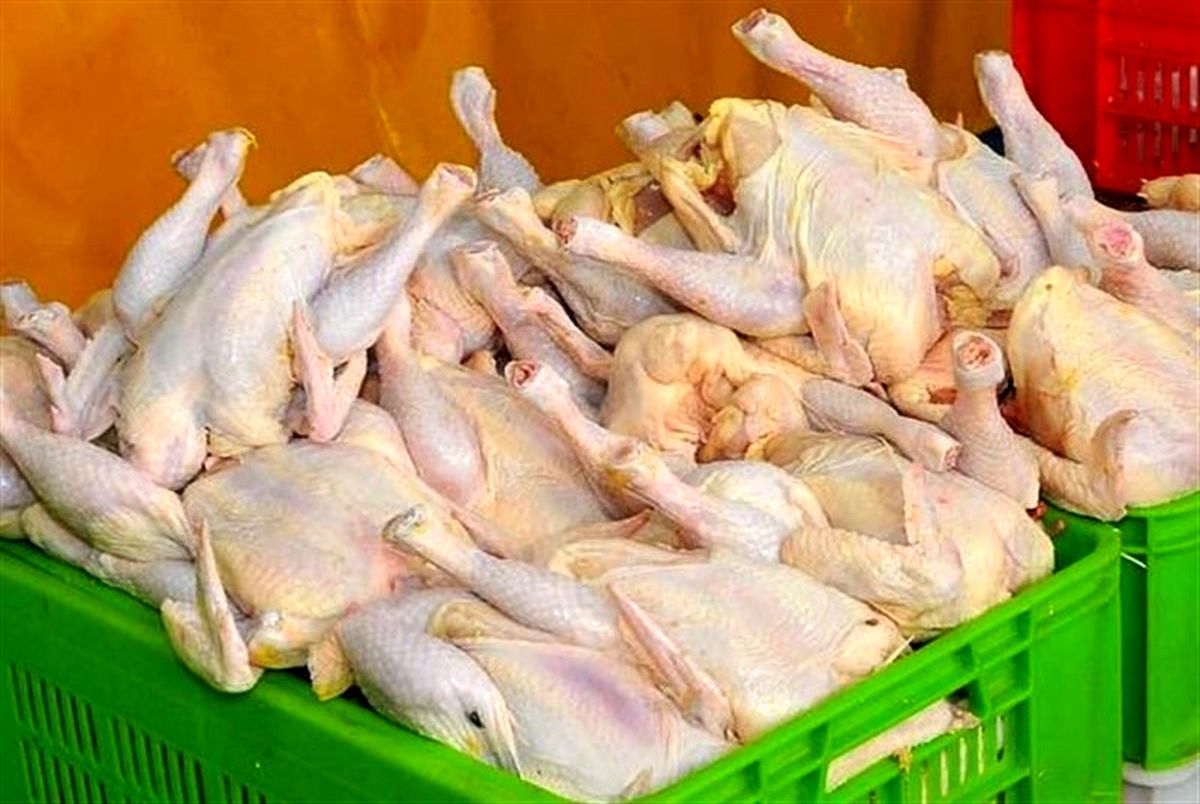 کاهش توزیع گوشت مرغ در زنجان 